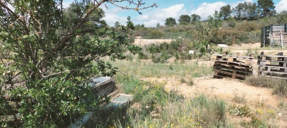 Land in Zaragoza, Spain No. 160602 44