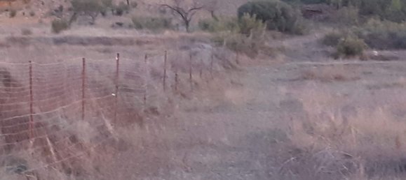 Land in Zaragoza, Spain No. 160602 32