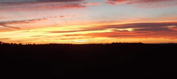 Land in Zaragoza, Spain No. 160602 31