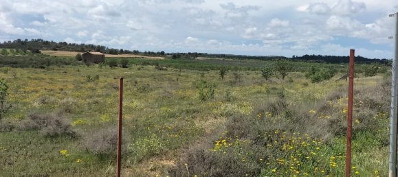 Land in Zaragoza, Spain No. 160602 33