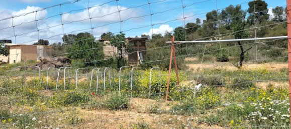 Land in Zaragoza, Spain No. 160602 49