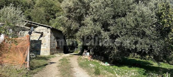 Terreno em Mammola, Italy 40000 m² N.º 343590 9