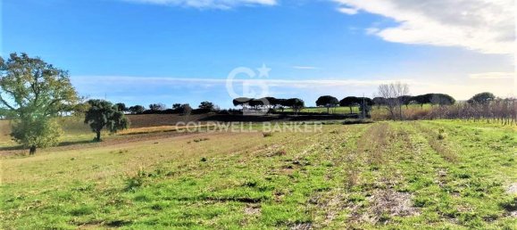 1 room Land in Capalbio, Italy No. 66859 7