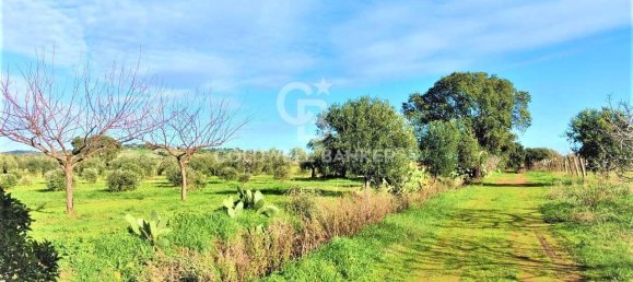 1 room Land in Capalbio, Italy No. 66859 2