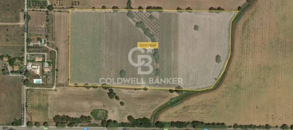 1 room Land in Capalbio, Italy No. 66859 4