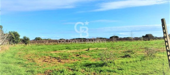 1 room Land in Capalbio, Italy No. 66859 9