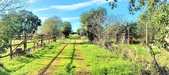 1 room Land in Capalbio, Italy No. 66859 6