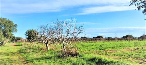 1 room Land in Capalbio, Italy No. 66859 11