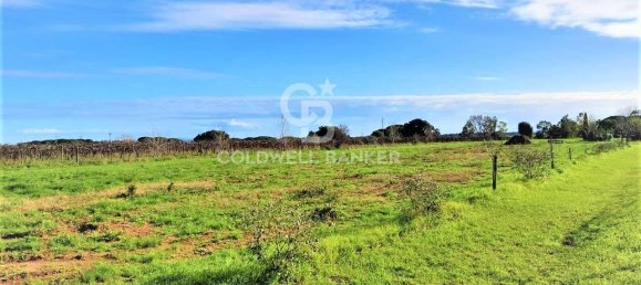 1 room Land in Capalbio, Italy No. 66859 12