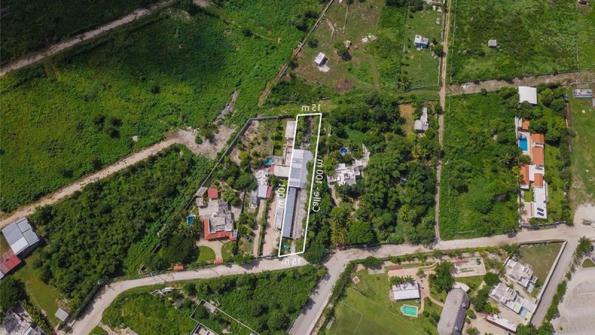 Terrain à Merida, Mexico No. 101955