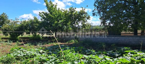 Terrain à Frosinone, Italy 2000m² No. 302104 4