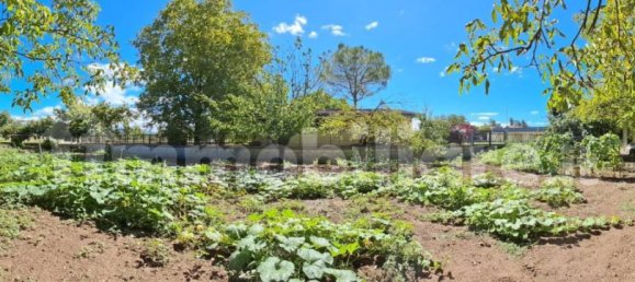 Terrain à Frosinone, Italy 2000m² No. 302104 6