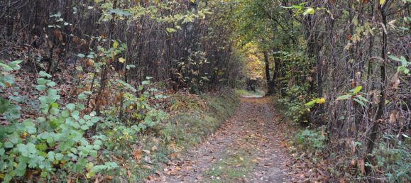 12150m² Land in Casale Litta, Italy No. 312031 7