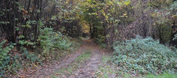 12150m² Land in Casale Litta, Italy No. 312031 6