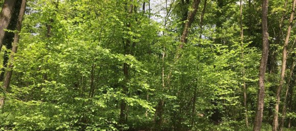 12150m² Land in Casale Litta, Italy No. 312031 15