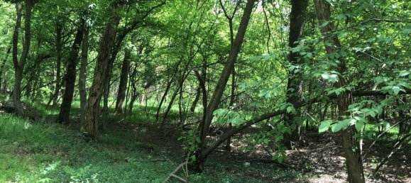 12150m² Land in Casale Litta, Italy No. 312031 9