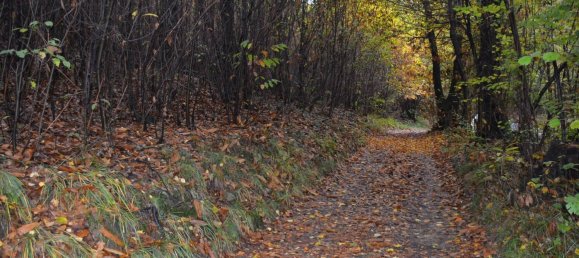 12150m² Land in Casale Litta, Italy No. 312031 4