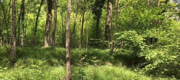 12150m² Land in Casale Litta, Italy No. 312031 10