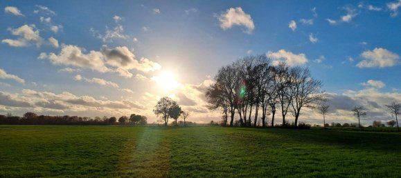 6-Zimmer Bauernhof in Uelzen, Germany, Nr. 242223 18