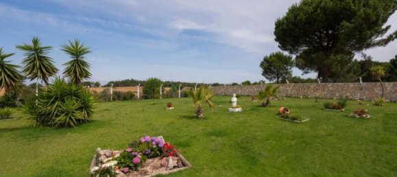 4 bedrooms House in Montijo, Portugal No. 311723 11