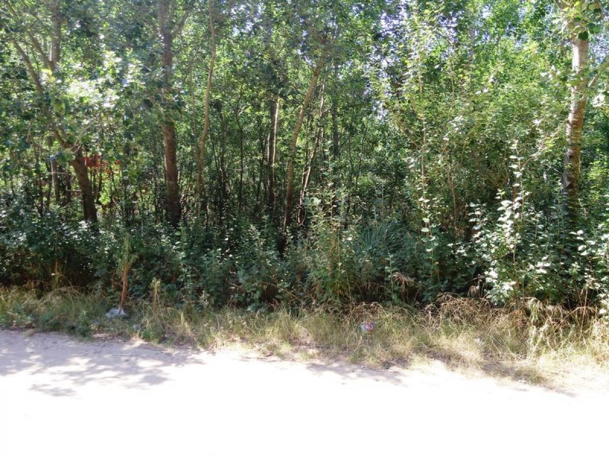 Grundstück in Mar del Plata, Argentina, Nr. 116502