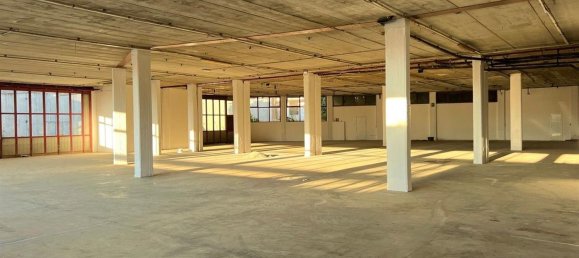 1200m² Warehouse in Sanremo, Italy No. 115355 7