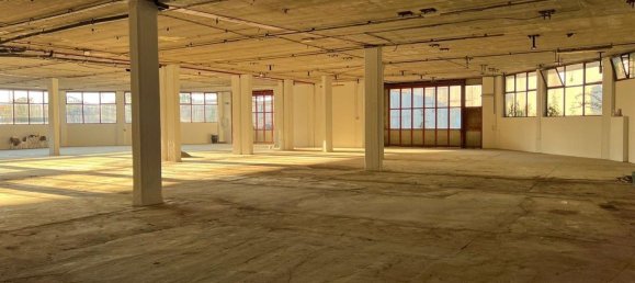 1200m² Warehouse in Sanremo, Italy No. 115355 5