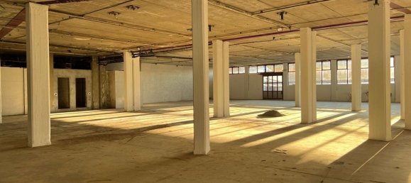 1200m² Warehouse in Sanremo, Italy No. 115355 13
