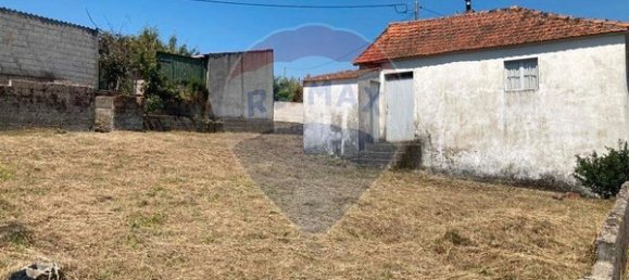 2 bedrooms House in Vila Real, Portugal No. 168937 12