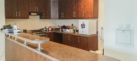 Квартира с 1 спальней в EXECUTIVE TOWERS, Бизнес-Бэй, ОАЭ № 58914 5