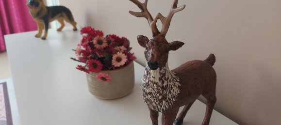 Appartement 2+1 à Alanya, Turkey No. 18394 6