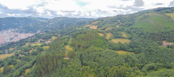 1 Schlafzimmer Haus in Mieres, Spain, Nr. 141339 38