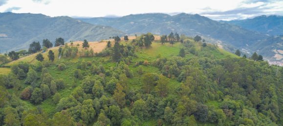 1 Schlafzimmer Haus in Mieres, Spain, Nr. 141339 35