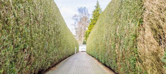 Casa T3 em Wandsbek, Germany N.º 15207 7