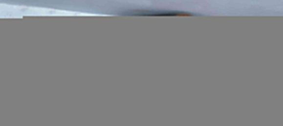 Дом с 2 спальнями в Зале-Орла, Германия № 142096 11