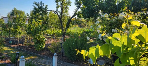 Grundstück in Oberhavel, Germany, Nr. 235706 2