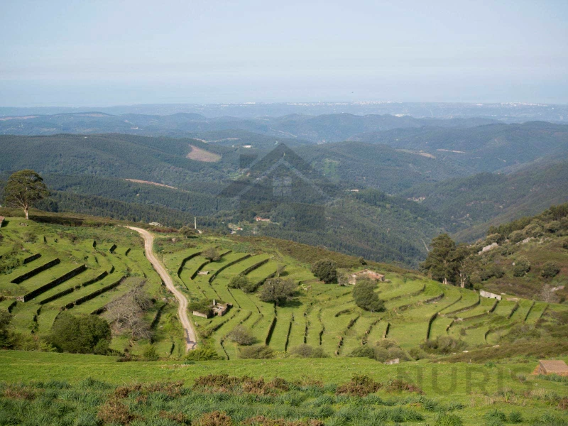 24 chambres Hôtel à Monchique, Portugal No. 118987