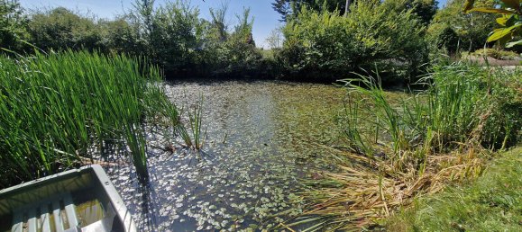 3 chambres Châteaux à Vievy-le-Rayé, France No. 230605 16