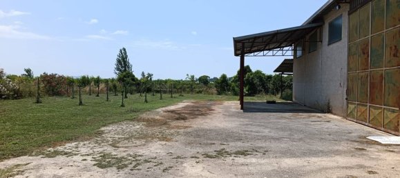 16 rooms Villa in Capaccio Paestum, Italy No. 274323 50