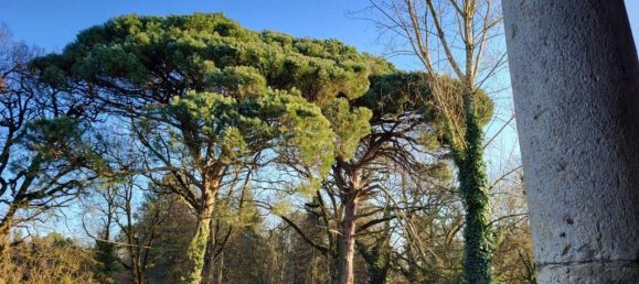 6 Schlafzimmer Haus in Realville, France, Nr. 192504 2