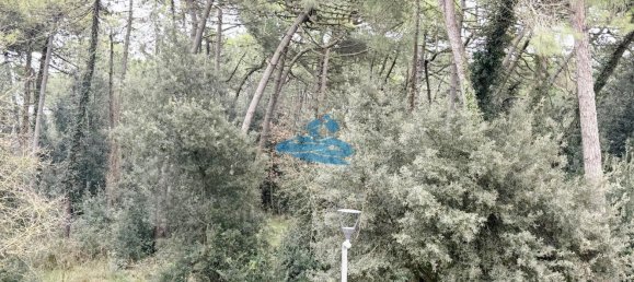 4-Zimmer Doppelhaus in Ravenna, Italy, Nr. 133467 15