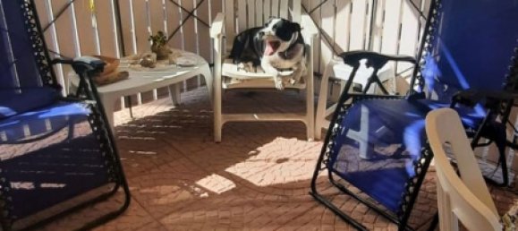 Apartamento de 2 habitaciónes en Carini, Italy No. 52293 14