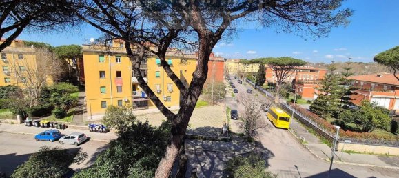 2 rooms Apartment in Rome, Italy No. 41627 24
