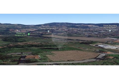  Land in Santo Tirso, Portugal No. 195591