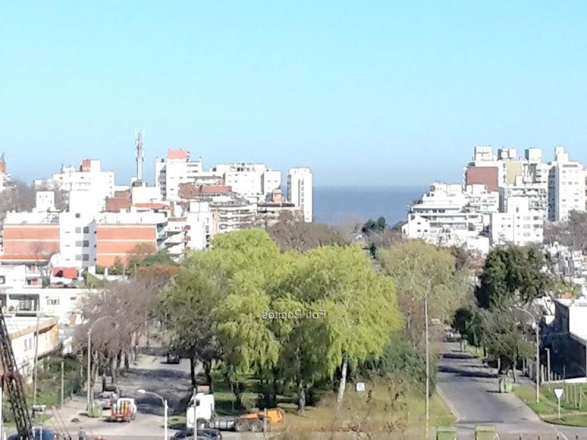 Студия в Монтевидео, Уругвай № 8512