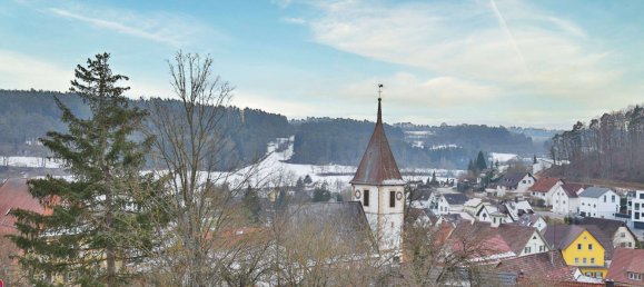 2 bedrooms Apartment in Baden-Wurttemberg, Germany No. 20390 3