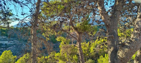 Дом с 3 спальнями в Эль-Реаленго, Испания № 18144 26