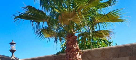 Дом с 3 спальнями в Эль-Реаленго, Испания № 18144 6