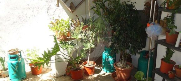 10 Schlafzimmer Villa in Torrao, Portugal, Nr. 20568 16