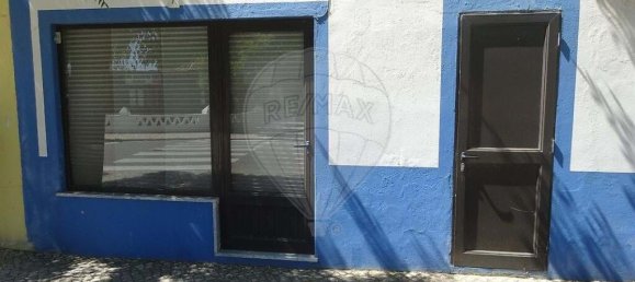 10 Schlafzimmer Villa in Torrao, Portugal, Nr. 20568 30